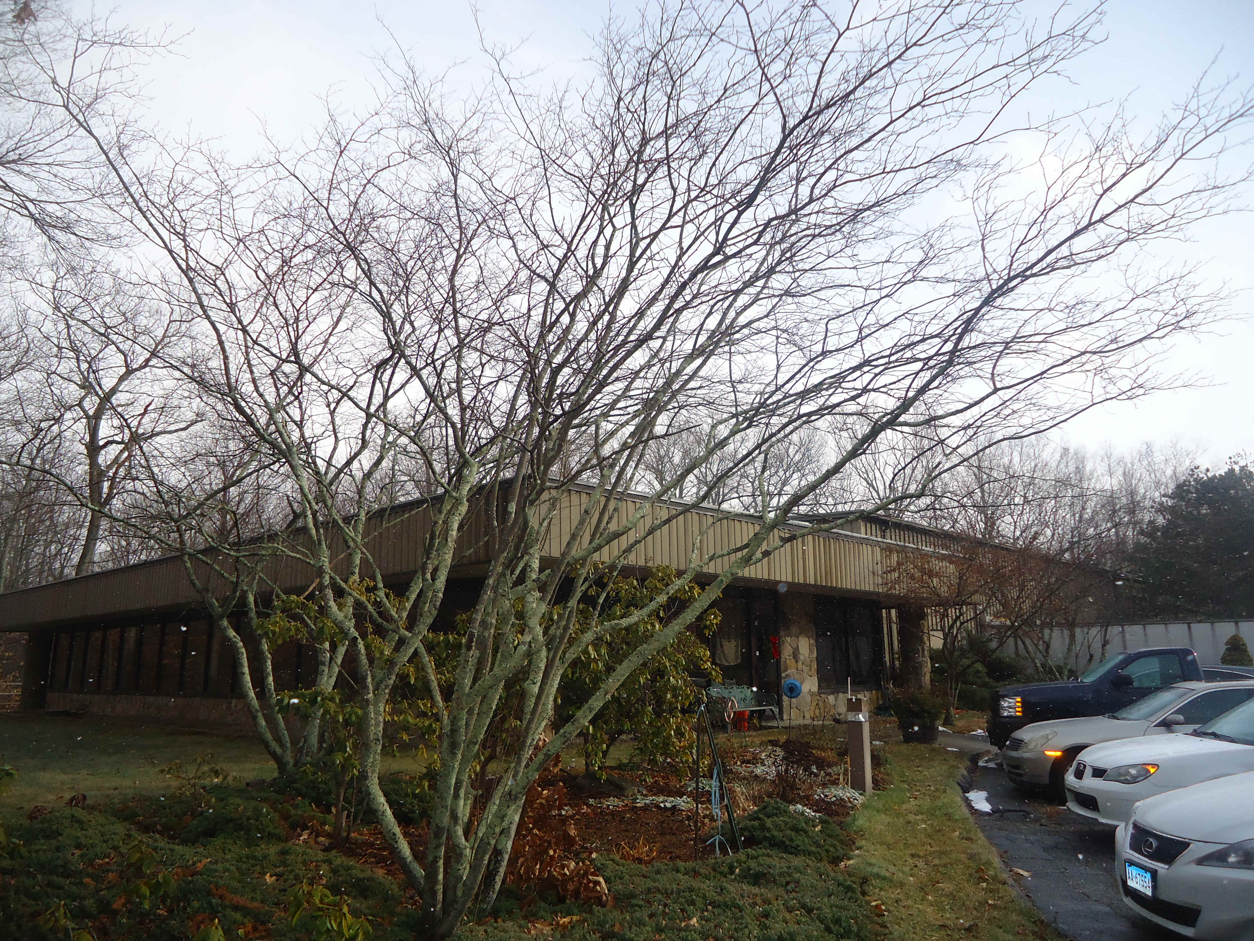 Building photograph for 137 NEW MILFORD RD EAST